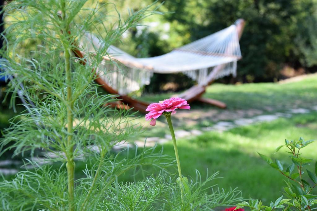 Golden Horn Guest House Iskrets Экстерьер фото